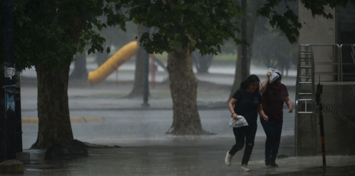 1577730868623.jpg?rotate=0&scaleX=1&oh=996&y=211&width=1486&scaleY=1&ow=1500&x=11&height=743&&cw=1920&ch=950