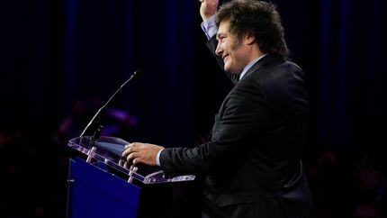 Milei reveló que busca 15.000 millones de dólares para acelerar la salida del cepo