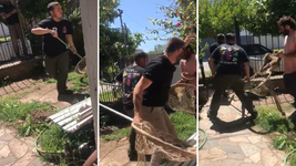 encontraron al mono que estaba suelto en la plata y lo atraparon sano y salvo encontraron al mono que estaba suelto en la plata y lo atraparon sano y salvo