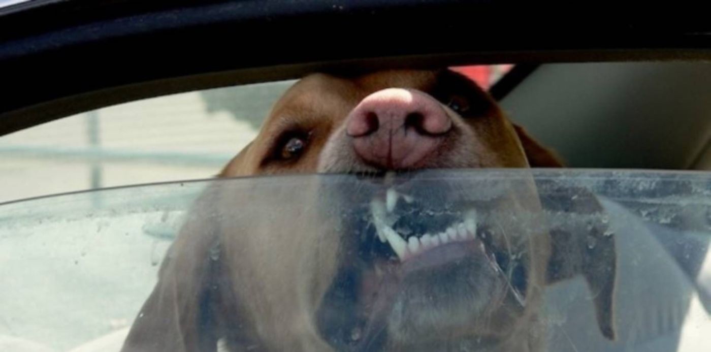 1549118597311.jpg?&cw=1920&ch=950