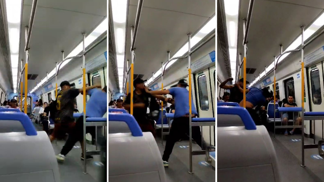 furia a bordo del tren roca: un vendedor ambulante y un pasajero se agarraron a pinas en pleno viaje