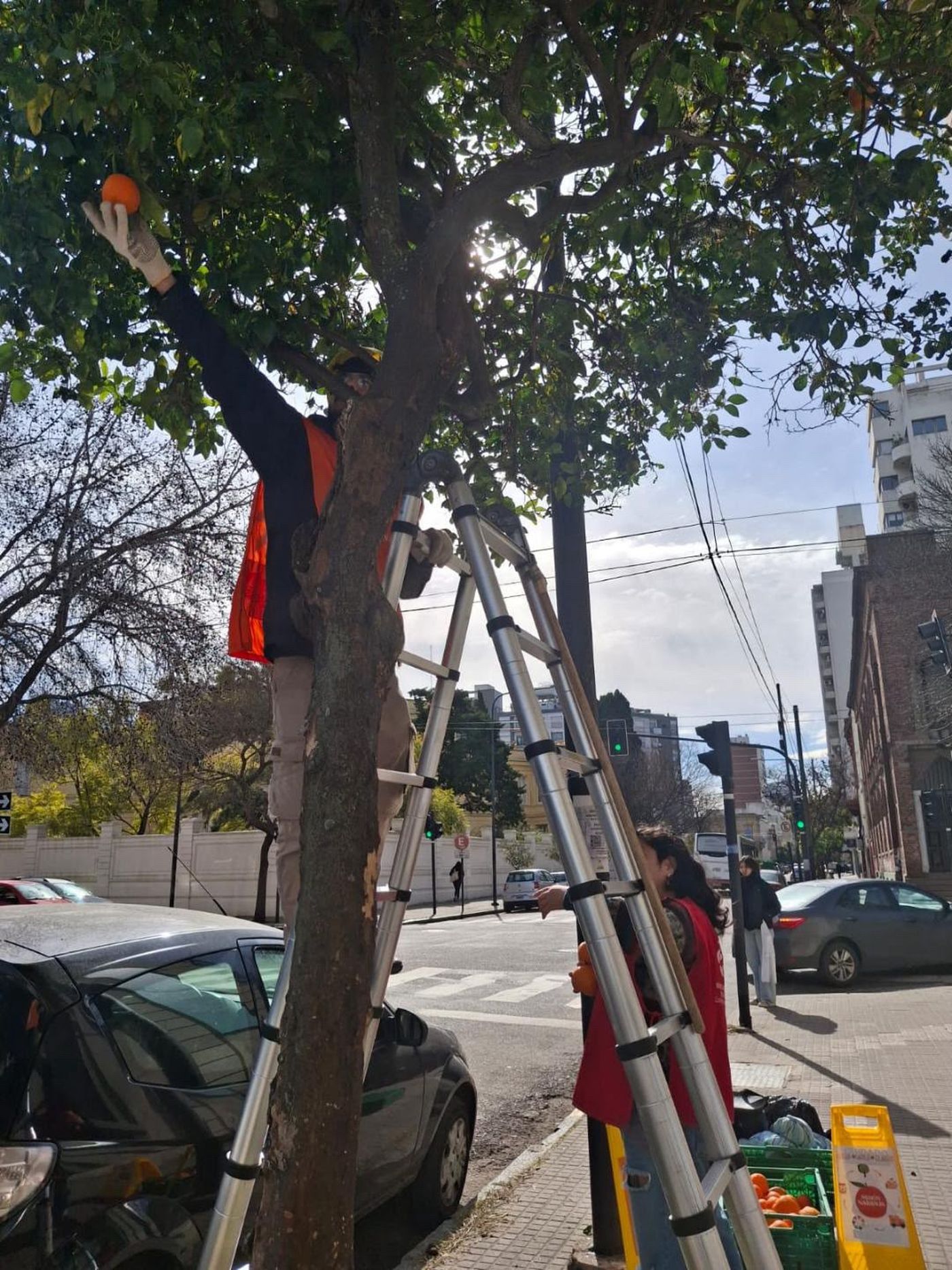 Voluntarios participaron de una nueva edición de Misión Naranja en La Plata