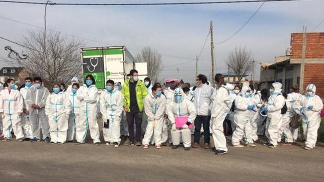 cientos de estudiantes de la unlp siguen realizando operativos sanitarios en la plata