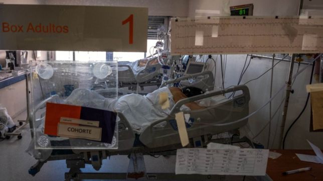 especialistas proyectan una alarmante cifra de muertes por coronavirus para navidad