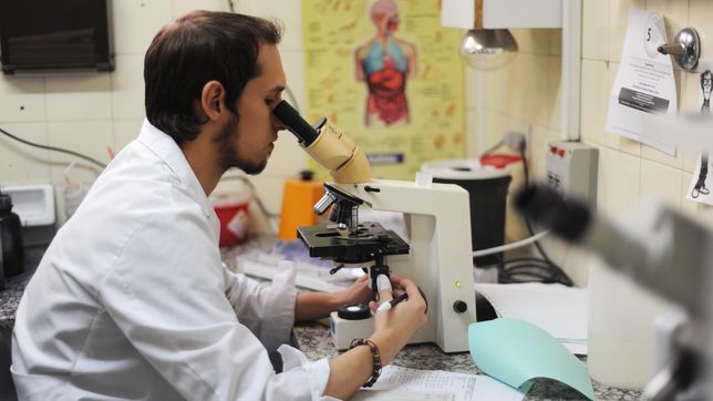 provincia alcanzo un record de cobertura de residencias medicas