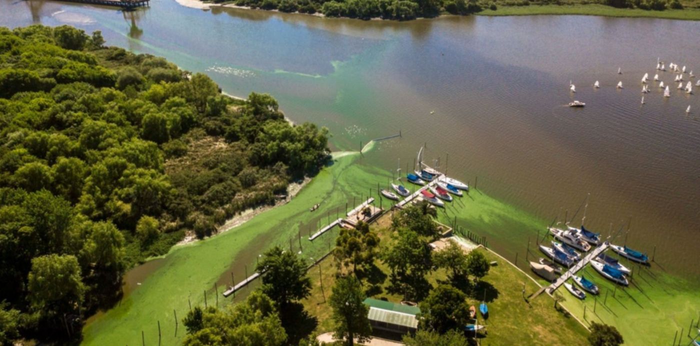 1606098610695.jpg?x=15&y=378&width=1477&height=739&rotate=0&scaleX=1&scaleY=1&ow=1500&oh=1124&&cw=1920&ch=950