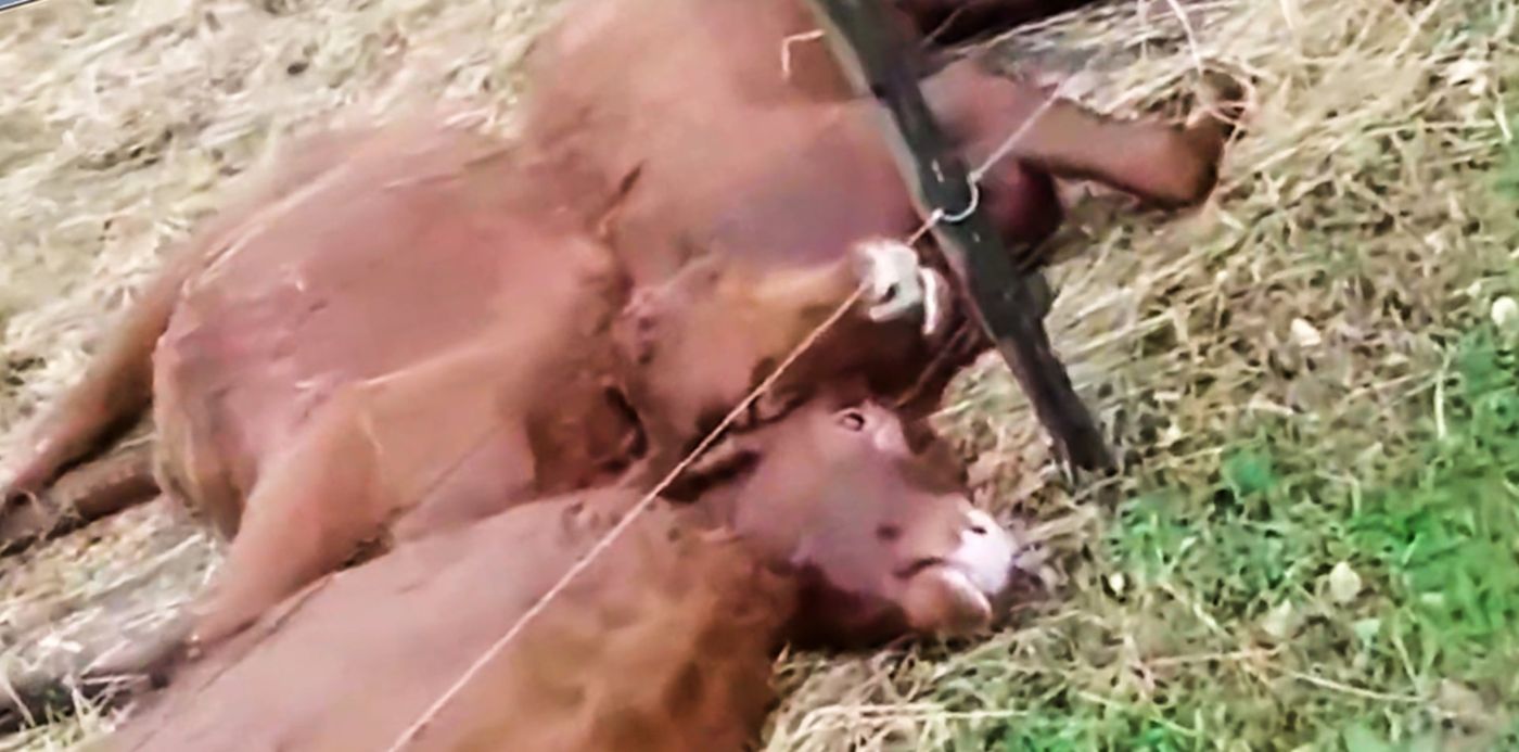 1590071244233.jpg?&cw=1920&ch=950