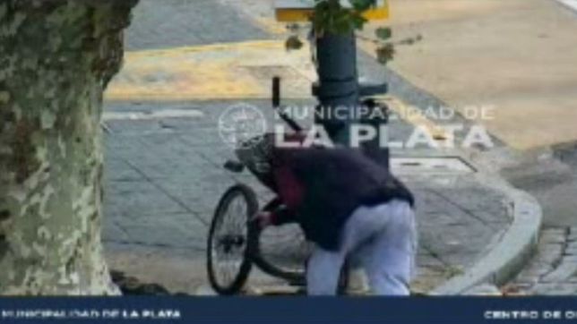 video: robo la rueda de una bicicleta en pleno centro de la plata, quedo filmado y lo detuvieron