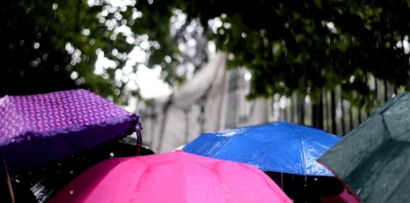 1612189533429.jpeg?x=6&y=123&width=1215&height=608&rotate=0&scaleX=1&scaleY=1&ow=1232&oh=820&&cw=1920&ch=950