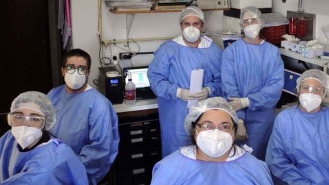 la historia detras de la conmovedora carta viral de una psicologa de la plata