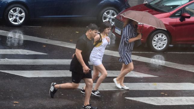 manana de lloviznas y tarde de sol: ¿como va a estar el clima para ir a votar en la plata?