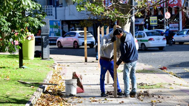 reubicacion del monumento, peatonal y solado: asi sera la nueva plaza italia de la plata