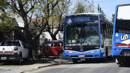 Los libertarios avanzan con un pedido de informes tras la caída de la licitación
