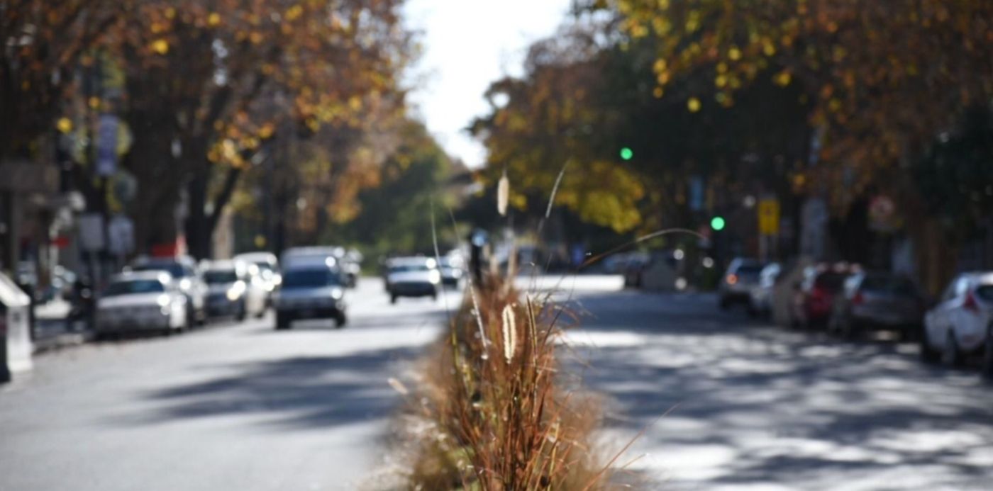 1623199121005.jpeg?x=3&y=108&width=1274&height=637&rotate=0&scaleX=1&scaleY=1&ow=1280&oh=853&&cw=1920&ch=950