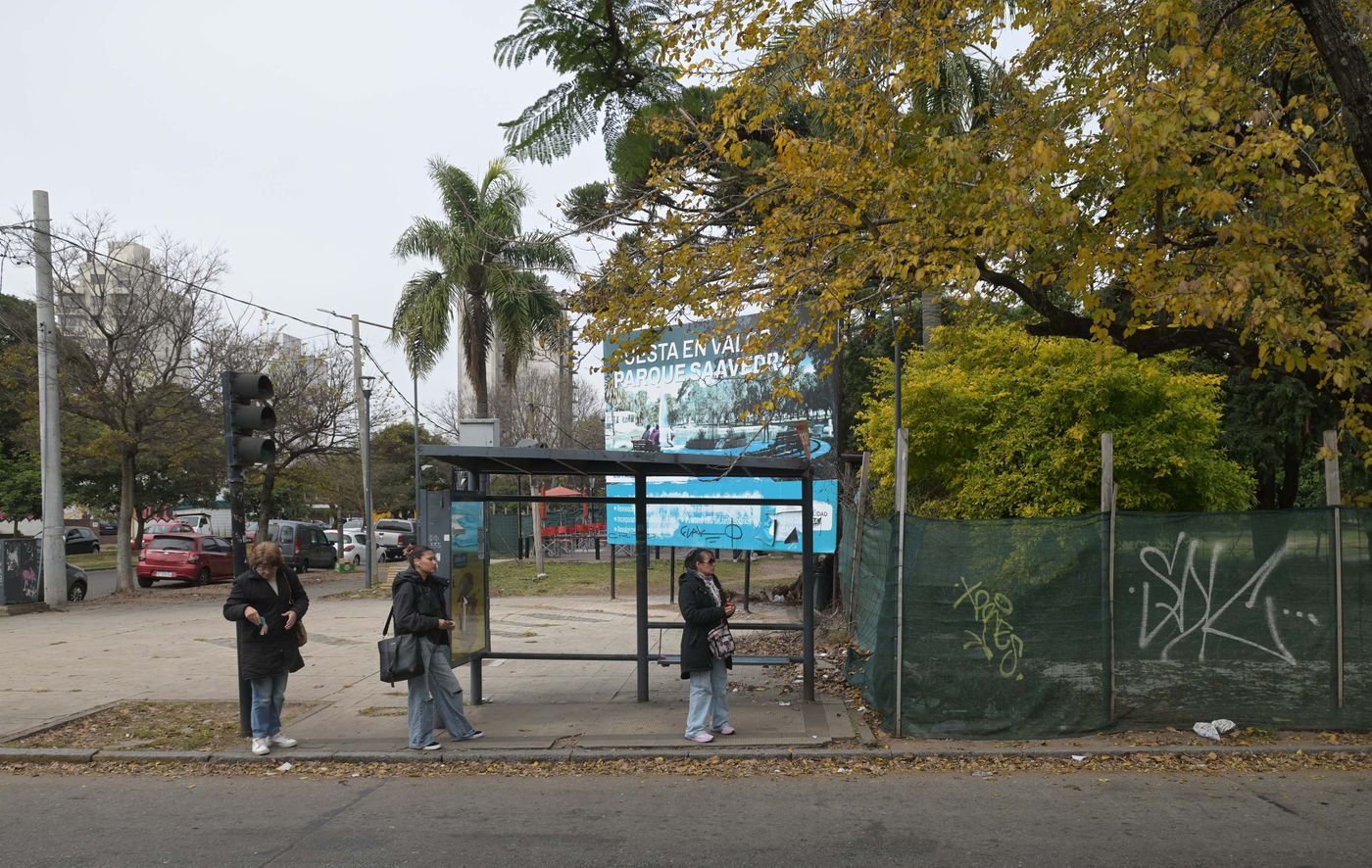 Obras en el Parque Saavedra (3)