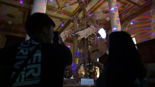 asi se vivio en la plata una nueva edicion de museos a la luz de la luna