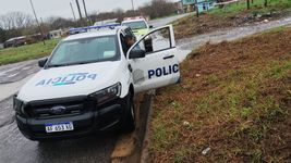 dos perros murieron en medio de la tormenta en la plata y lo vecinos dicen que fue al explotar un transformador dos perros murieron en medio de la tormenta en la plata y lo vecinos dicen que fue al explotar un transformador