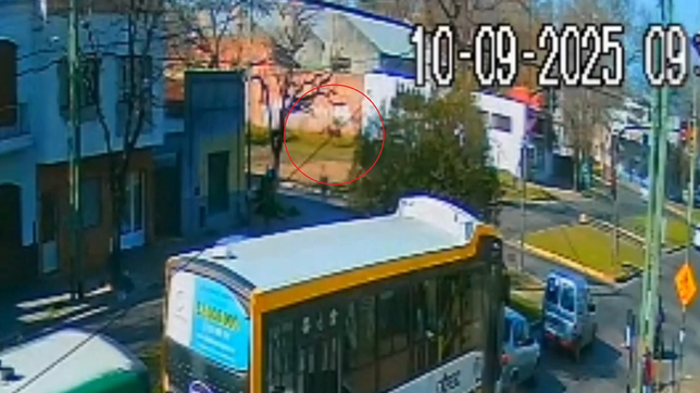 asi fue el terrible accidente en barrio hipodromo en el que un joven cayo de su caballo y termino internado