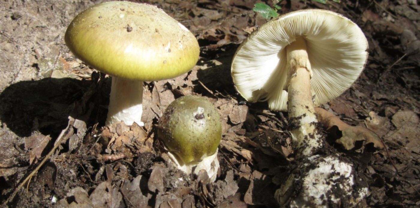 1580304065392.jpg?ow=1500&x=4&y=161&width=1493&height=747&scaleX=1&scaleY=1&rotate=0&oh=1125&&cw=1920&ch=950