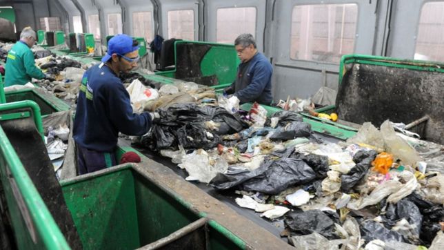 ¿cuales son los comercios platenses que deben recoger y separar sus propios residuos?