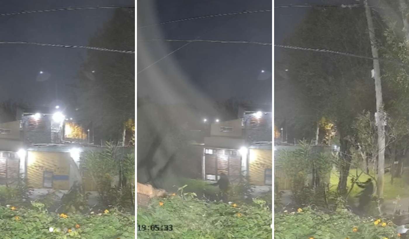 Copia de Copia de Diseño sin título (1)