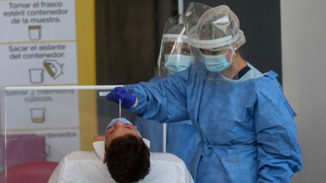 covid en argentina: 144 nuevas muertes y 11.057 casos