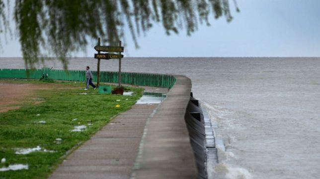 ¿que se sabe del hallazgo del hombre muerto en un parador de punta lara?