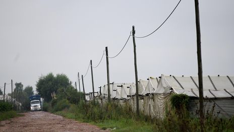 Asaltaron a un camionero en una zona rural de La Plata y le robaron $10 millones Asaltaron a un camionero en una zona rural de La Plata y le robaron $10 millones