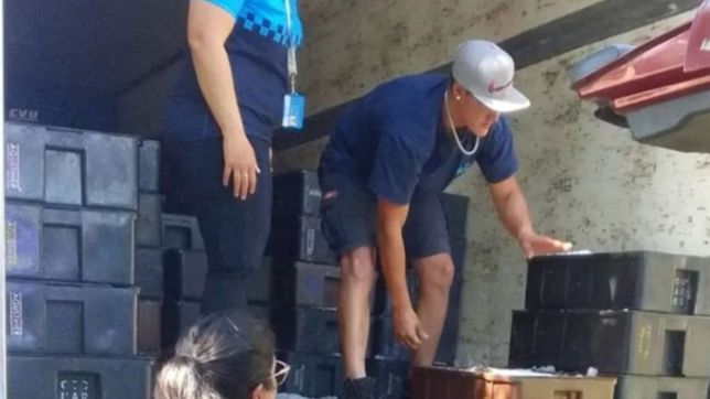 secuestraron 30 kilos de pescado no declarados que iban a ser vendidos en la region
