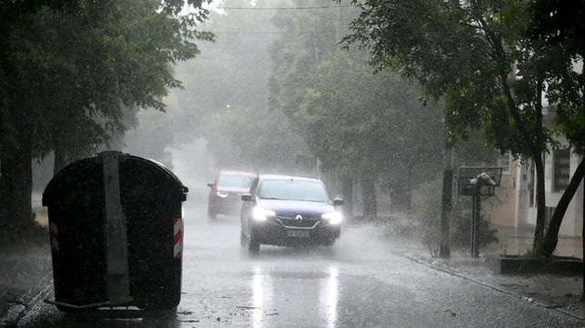 una fuerte tormenta de lluvia, viento y granizo impacto en la plata