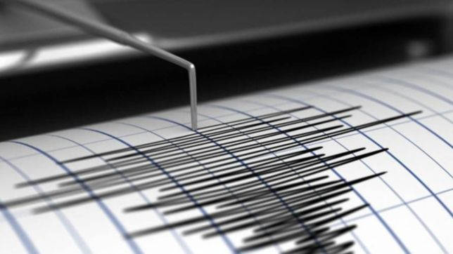 vibraciones, tintineo de vasos y cuadros oscilantes: los efectos del sismo en la plata