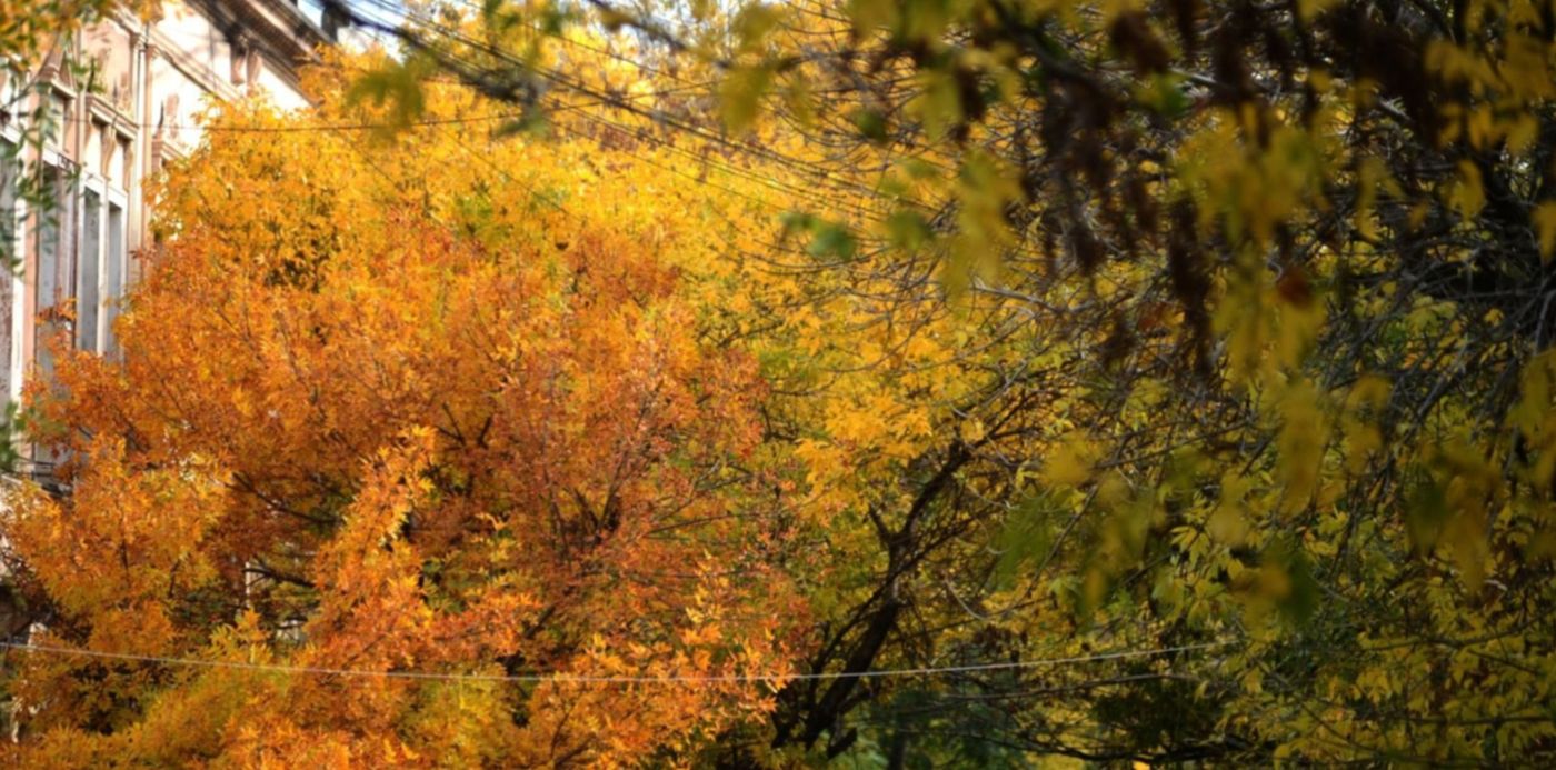 1587694284712.jpg?x=7&y=75&width=1486&height=743&rotate=0&scaleX=1&scaleY=1&ow=1500&oh=996&&cw=1920&ch=950