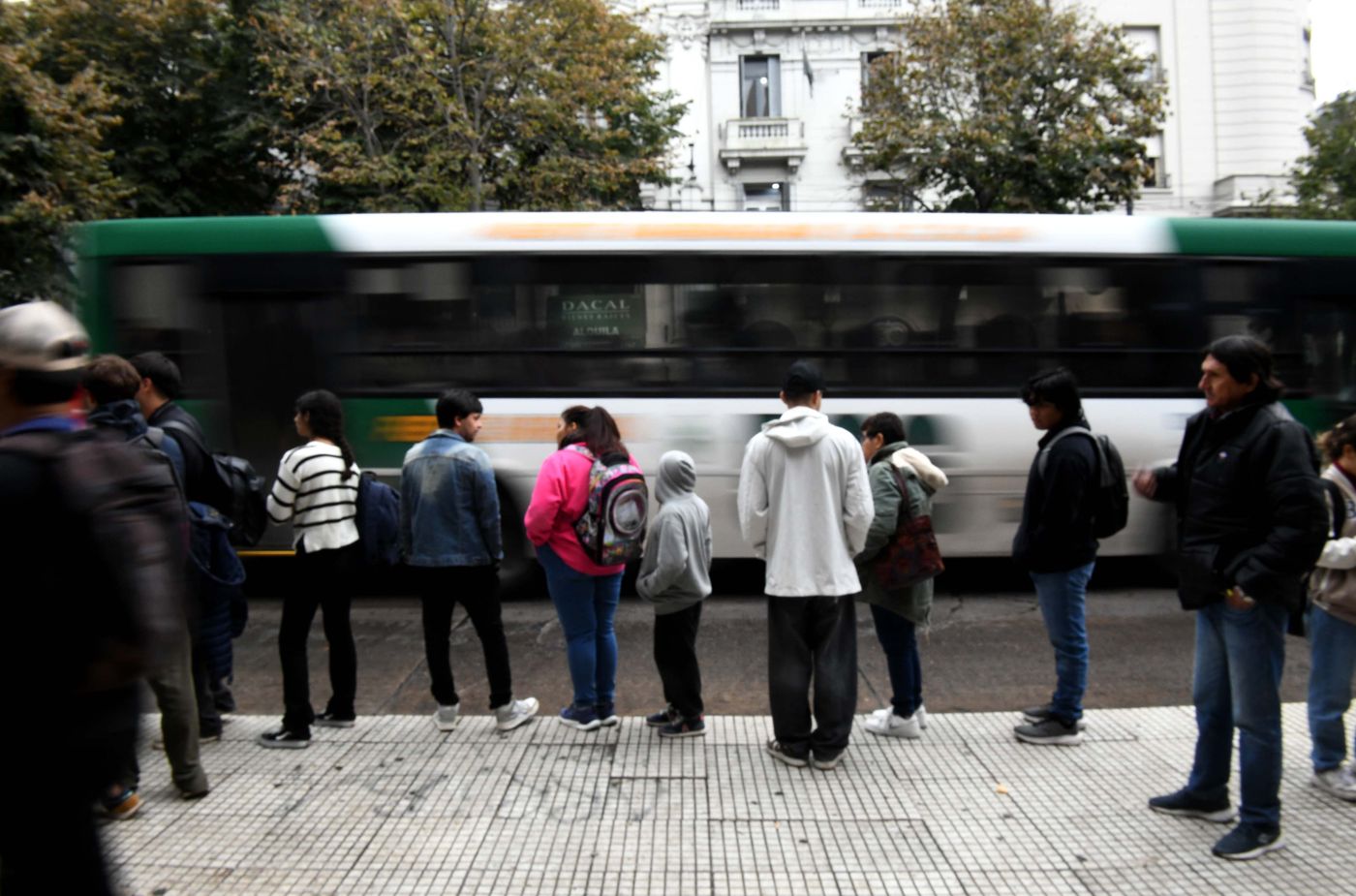 Micros colectivos (7)