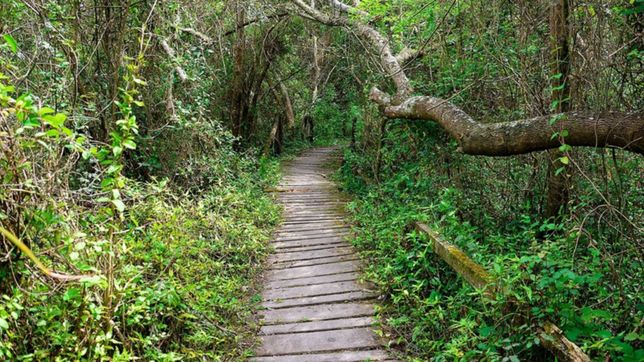 a solo unos minutos de la plata se abren las puertas de la naturaleza en todo su esplendor