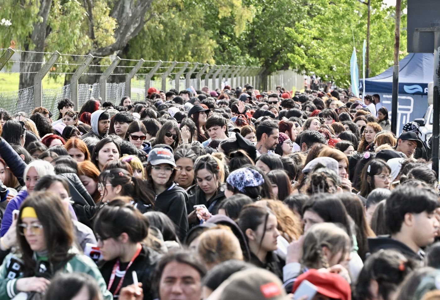 Fanáticos de BTS en La Plata (3)