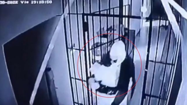 millonario robo en una papelera de la plata: sospechan una batida de un empleado infiel