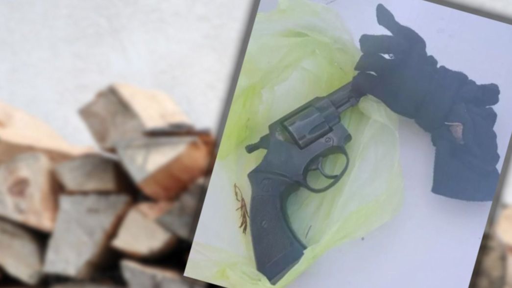 Misterio en City Bell: salieron a buscar leña y encontraron un arma tirada