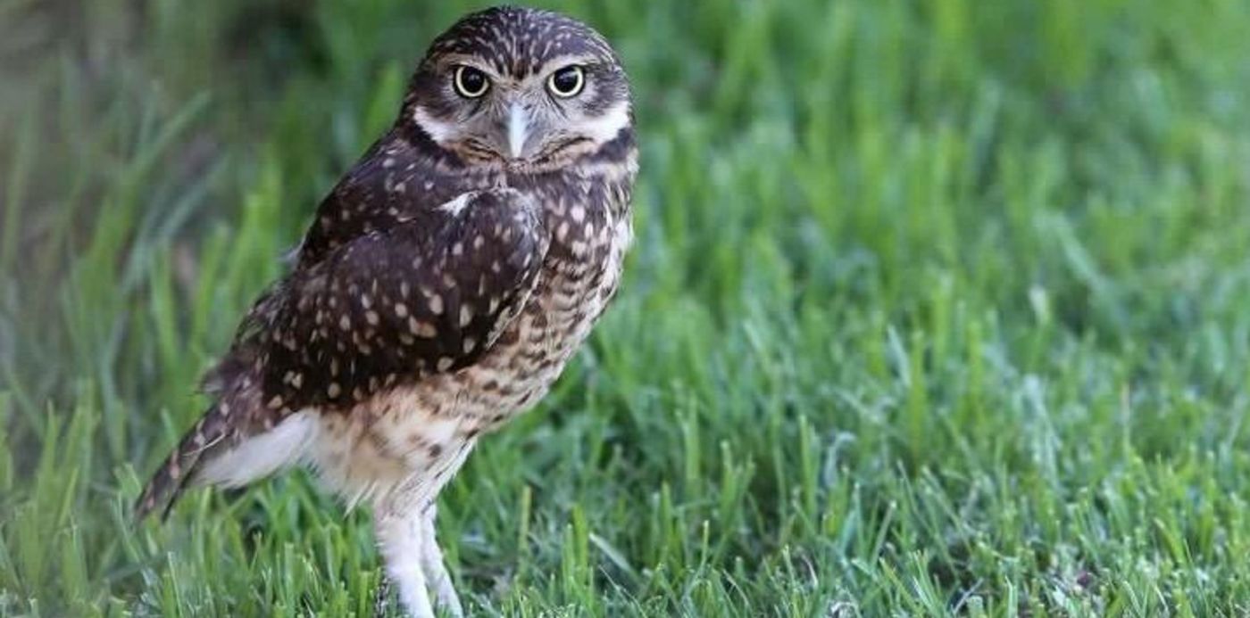 1538772222471.jpeg?x=2&height=358&rotate=0&scaleY=1&ow=720&oh=480&y=62&width=715&scaleX=1&&cw=1920&ch=950