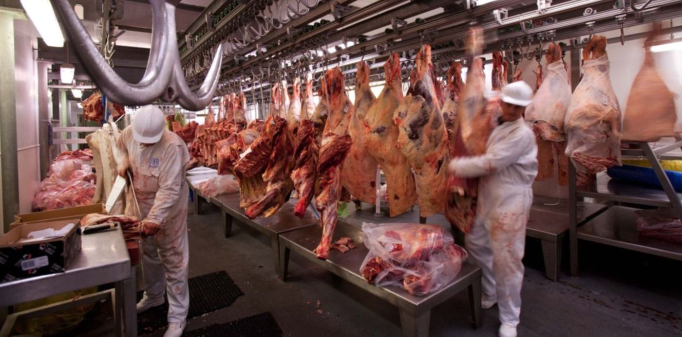 1596547701457.jpg?x=3&y=223&width=1493&height=747&rotate=0&scaleX=1&scaleY=1&ow=1500&oh=1000&&cw=1920&ch=950