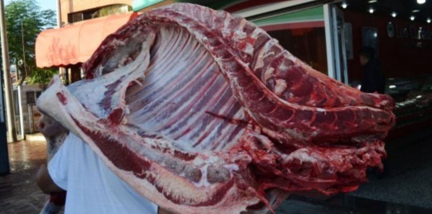 1580472336142.jpg?width=1486&rotate=0&scaleX=1&scaleY=1&ow=1500&x=10&y=153&height=743&oh=999&&cw=1920&ch=950