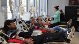 el instituto de hemoterapia convoca a donar plaquetas en las vacaciones de invierno el instituto de hemoterapia convoca a donar plaquetas en las vacaciones de invierno