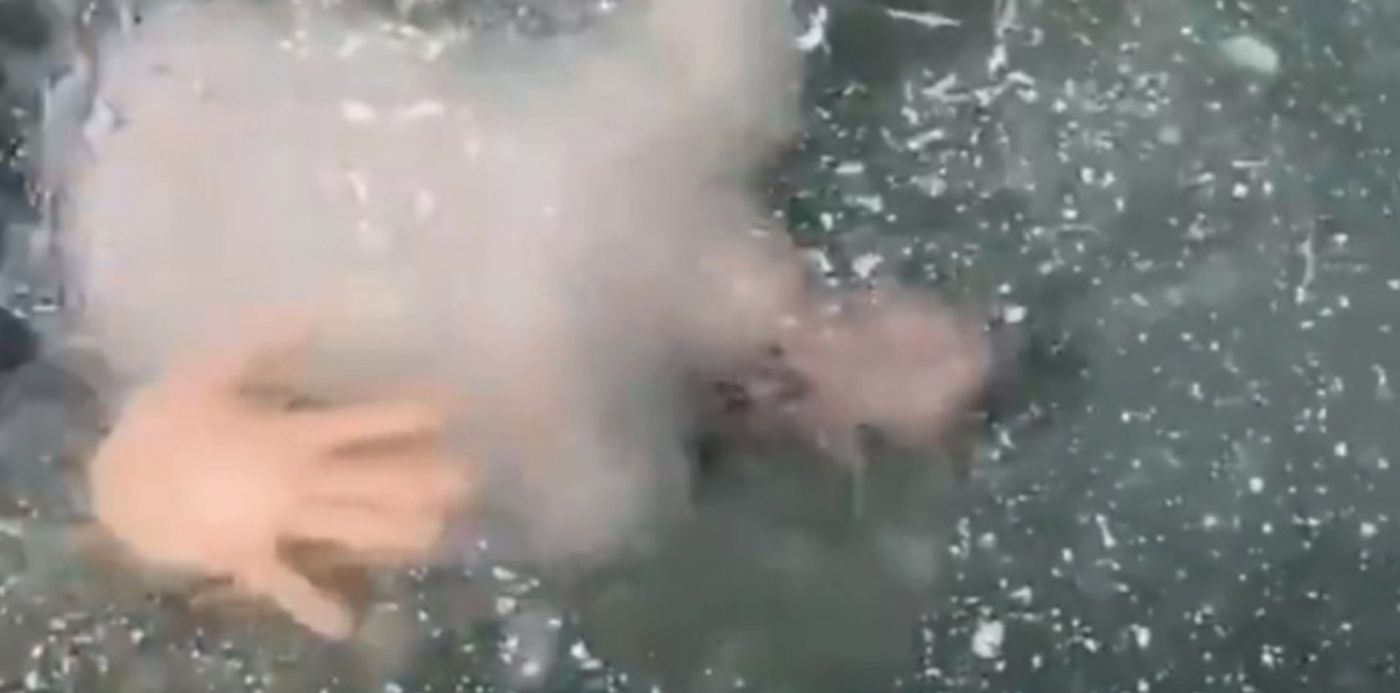 1582811223919.jpg?height=567&ow=1140&oh=640&x=3&y=2&width=1134&rotate=0&scaleX=1&scaleY=1&&cw=1920&ch=950