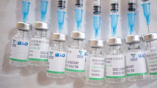 con 166.000 nuevas vacunas de cansino, argentina supero las 85 millones de dosis recibidas