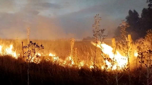 un incendio a las afueras de la plata arraso con mas diez hectareas y puso en riesgo a los vecinos