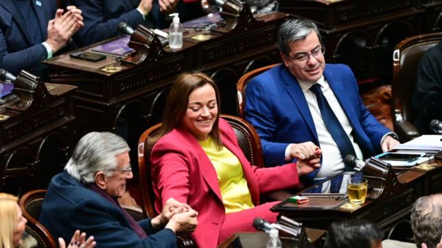 eligieron a cecilia moreau como presidenta de la camara de diputados