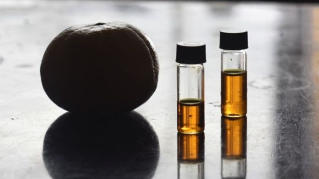 la mandarina, la fruta que elegida por los investigadores de la unlp contra el colesterol