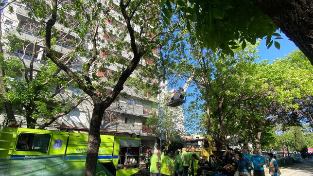 tension en la plata por un incendio en un edificio cercano a parque saavedra