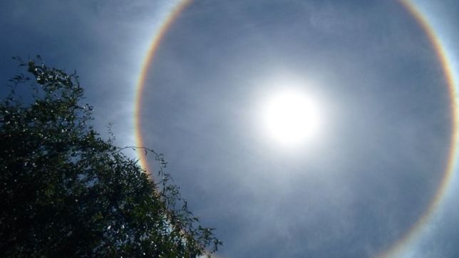 halo solar: de que se trata el raro fenomeno climatico que asombro a todos en la plata