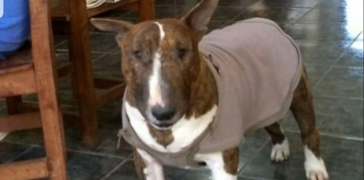 1602504996270.jpeg?&cw=1920&ch=950