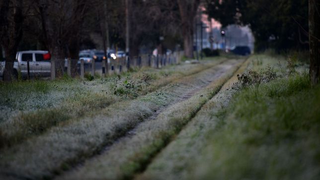 el smn lanzo un alerta amarillo en la plata por frio extremo y temperaturas bajo cero